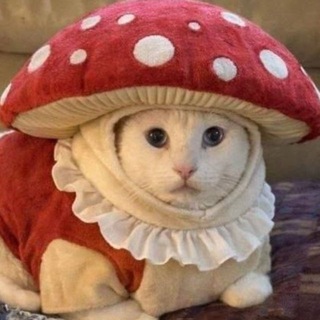 Telegram profile photo for тремор с двумя р