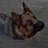 Telegram profile photo for NEMCHARKA