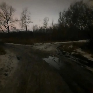 Telegram profile photo for Отзывы «твой второй путь»