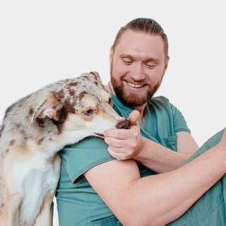 Telegram profile photo for Максим Коротенко - ветеринарный врач/реабилитолог/врач мануальной терапии 🩺🐕