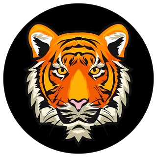 Telegram profile photo for Тигр в Тапках