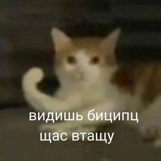Telegram profile photo for adilyaa?