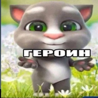Telegram profile photo for ghostdomain channel