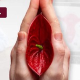 Telegram profile photo for Та самая женская пластика