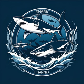 Telegram profile photo for SHARK LOOKUP CHANNEL🦈