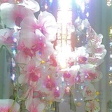 Telegram profile photo for all for love.