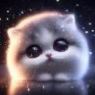 Telegram profile photo for Яра яра тим