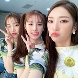 Telegram profile photo for Garden Lovely!💐