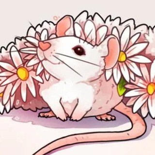 Telegram profile photo for Крыски красят Hachette 💅