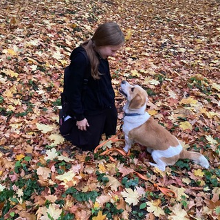 Telegram profile photo for Life of a not-so-beagle🫶