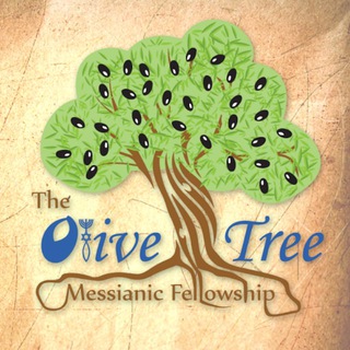 Telegram profile photo for Olive Tree Messianic Fellowship