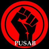 Telegram profile photo for PUSAB