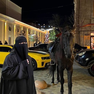 Telegram profile photo for معجزات القرآن