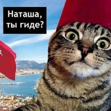 Telegram profile photo for 100500