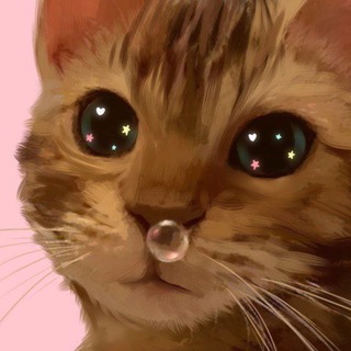 Telegram profile photo for КОТПРИТОН