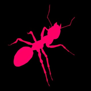 Telegram profile photo for __SHIT NAVUVORIT__