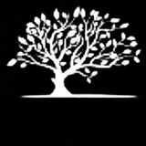 Telegram profile photo for البلقيات