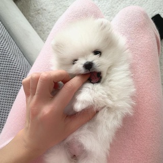 Telegram profile photo for Варюшкинс🤍