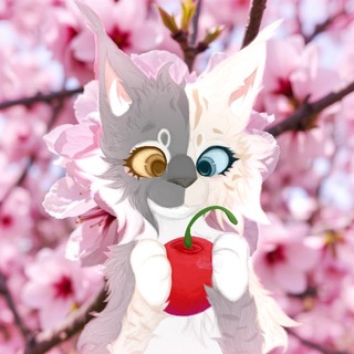 Telegram profile photo for 🌷🍒Цветущая вишня🍒🌷