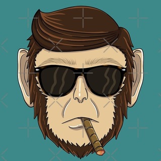Telegram profile photo for 无限专注海外数据