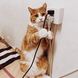 Telegram profile photo for 碎嘴老鼠