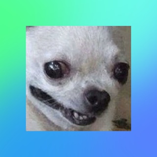 Telegram profile photo for Quick Milk Calls