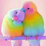 Telegram profile photo for کلبه دنج💖