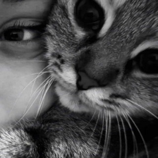 Telegram profile photo for отзывы rinww