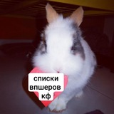 Telegram profile photo for списки впшеров кф