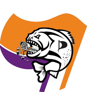 Telegram profile photo for Junge Pirat·innen Dresden