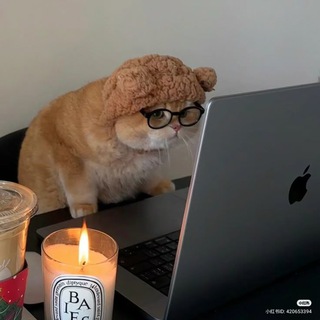 Telegram profile photo for CHUKEPC