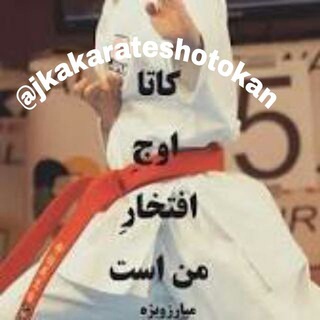 Telegram profile photo for آموزش کاراته