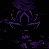 Telegram profile photo for Most Lotu$ | Reviews