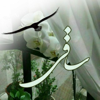 Telegram profile photo for خبرنامه ساقی