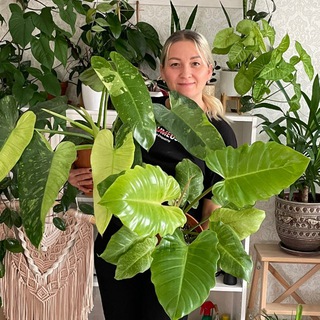 Telegram profile photo for GAlina.plants 🌿Территория зелёного счастья🌿