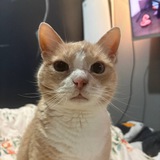Telegram profile photo for агенство василия ©