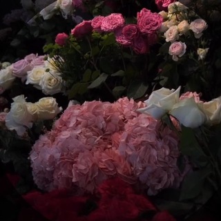 Telegram profile photo for سادس