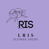 Telegram profile photo for RIS