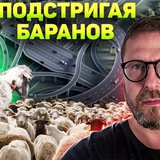 Telegram profile photo for Канал для баранов почти как у шария