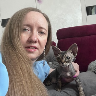 Telegram profile photo for Девон-рексы питомник