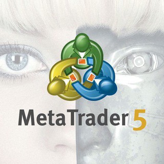 Telegram group profile photo for Mql5 Eas test