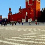 Telegram profile photo for Покрасневшая площадь
