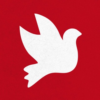 Telegram profile photo for Волонтеры Мира