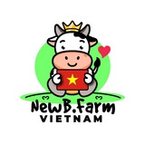 Telegram profile photo for NewB.Farm Announcement VN 🇻🇳🇻🇳