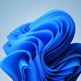 Telegram profile photo for Windows 11 wallpapers 4k