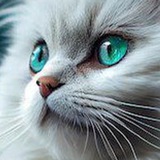 Telegram profile photo for $19.99/Mo Ads @AdBotsService
