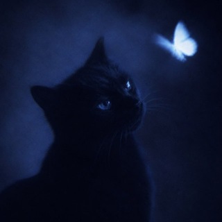 Telegram profile photo for мэверик