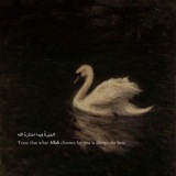 Telegram profile photo for صدقه جارية🤎