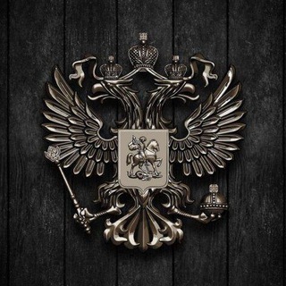 Telegram profile photo for DPR 180 Returns