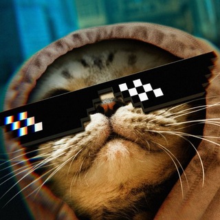 Telegram profile photo for Wallpapers HD PRO